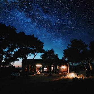 Fotos de stock gratuitas de al aire libre, arboles, Asia