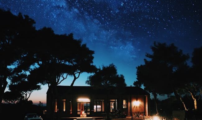 Fotos de stock gratuitas de al aire libre, arboles, Asia